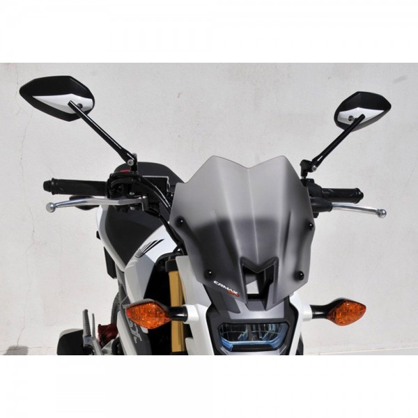 ERMAX Naked-Bike-Scheibe #121207