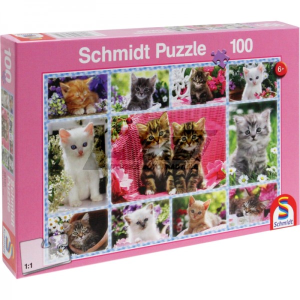 Schmidt Spiele  Katzenbabys #51176